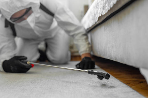 Professional Bed Bug Control technician working in Dubuque County County, IA